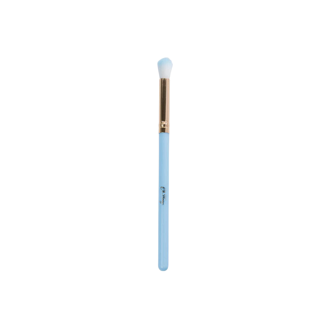 5-Piece Rainbow Makeup Brush Set