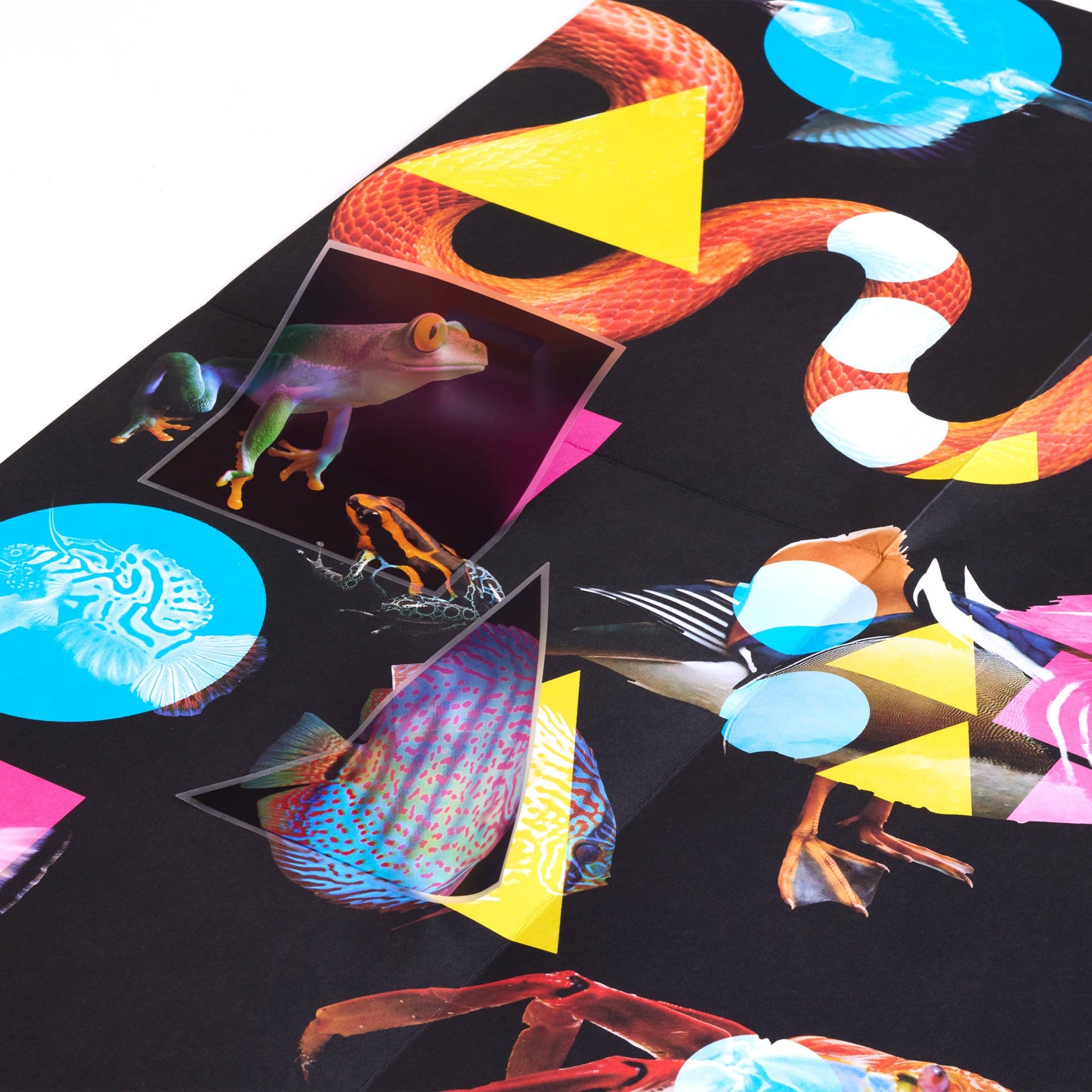 Sticker Art Pack - Colors