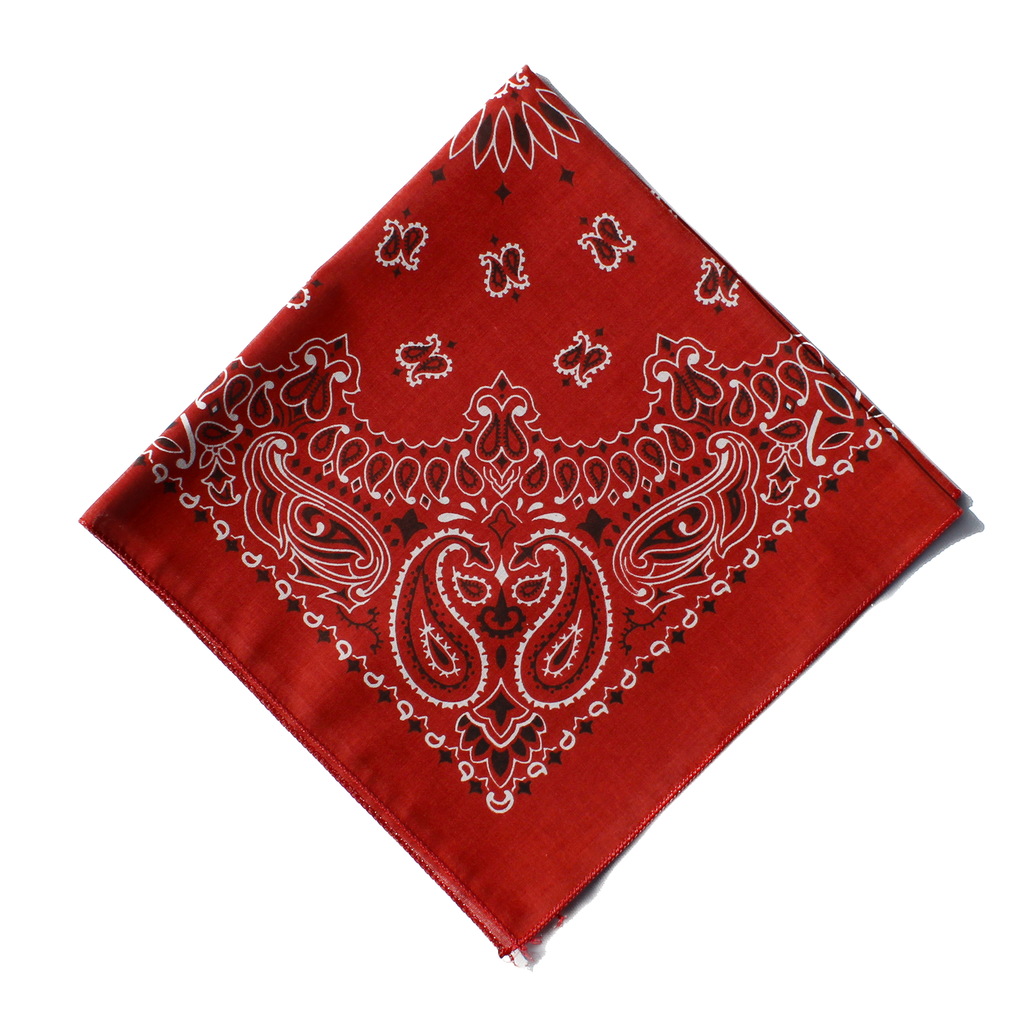 Wild Rag - Terracotta