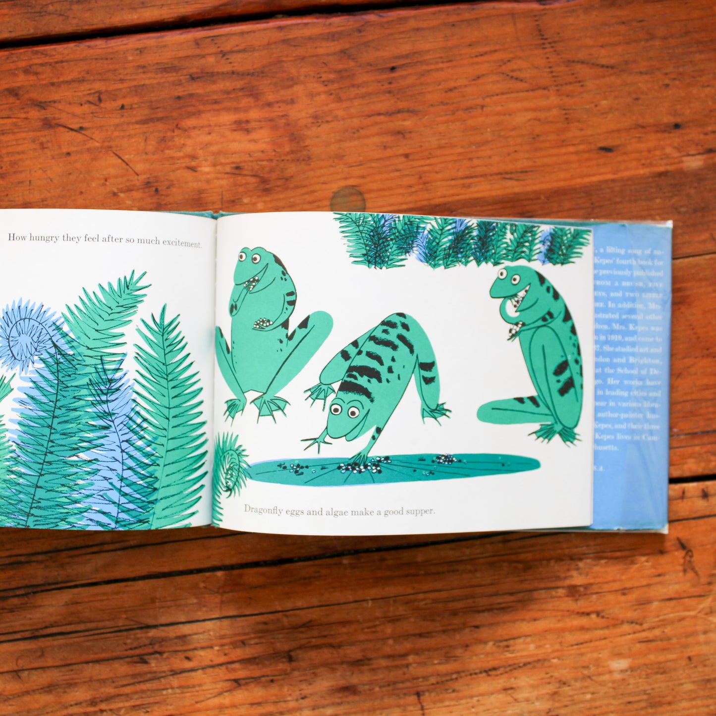 Frogs Merry by Juliet Kepes (1961)