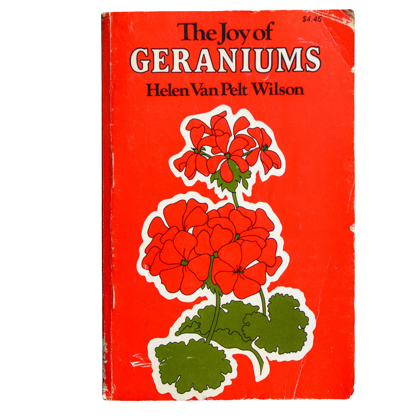 The Joy of Geraniums