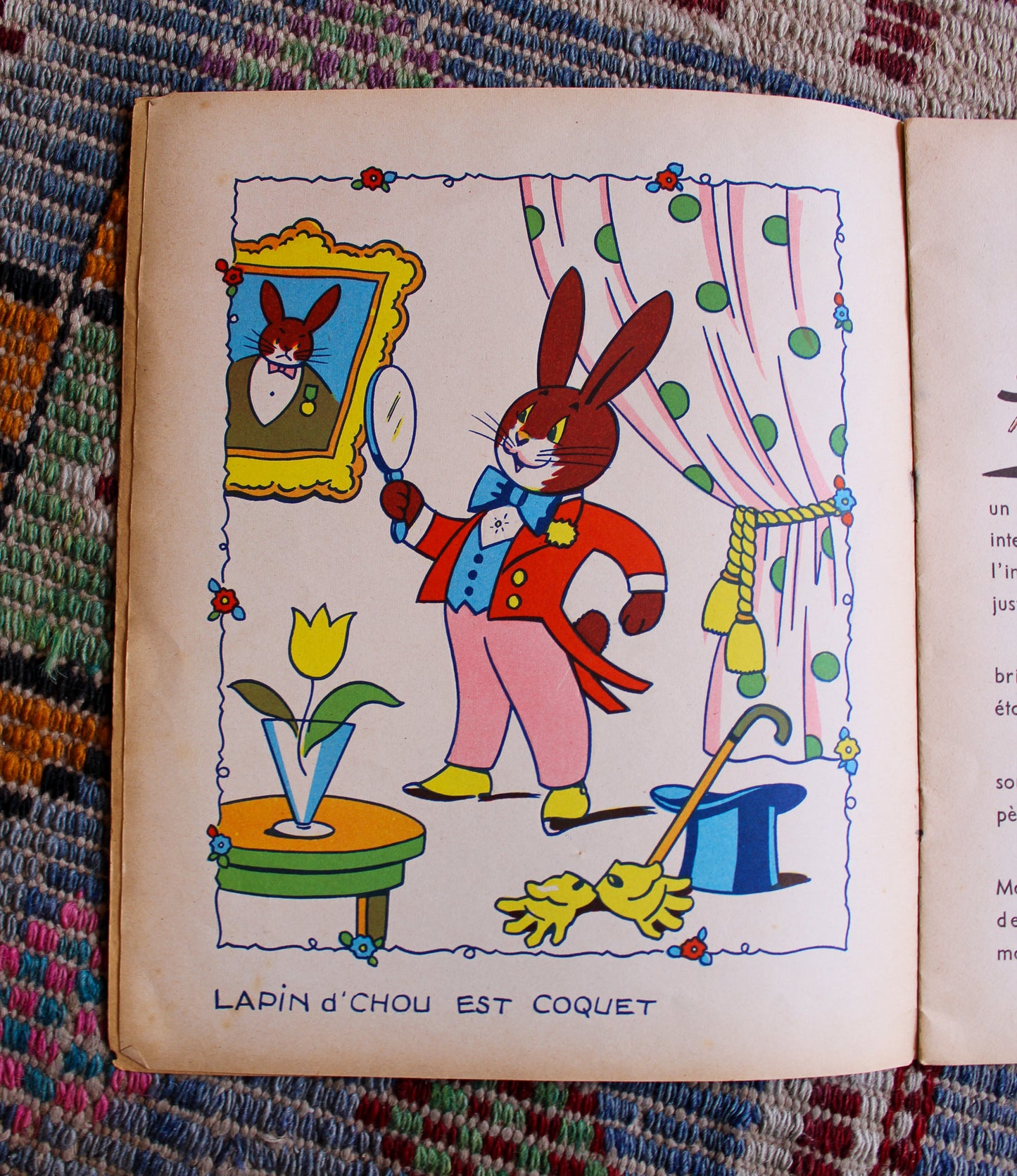 Lapin d'Chou et sa Maison