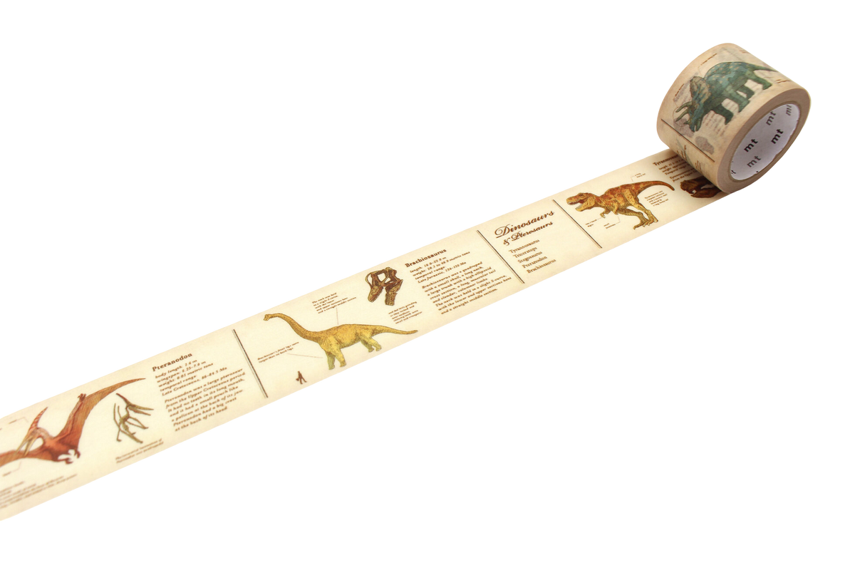 Encyclopedia Dinosaur Washi Tape - 30mm