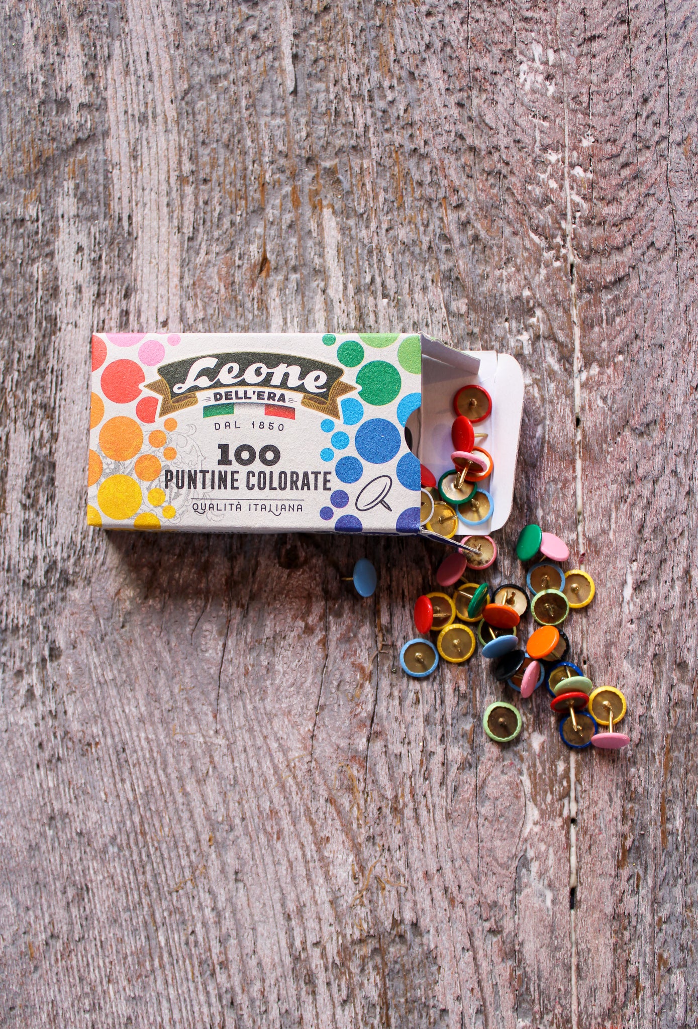 Rainbow Push Pins Set of 100