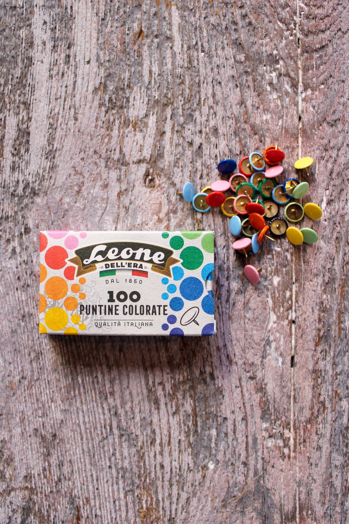 Rainbow Push Pins Set of 100