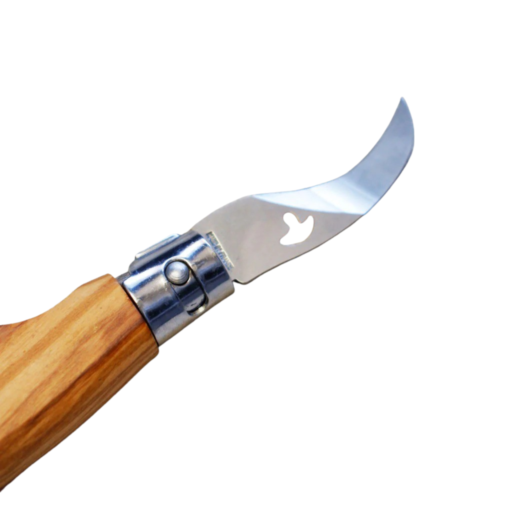 Mushroom & Fruit Pocket Knife