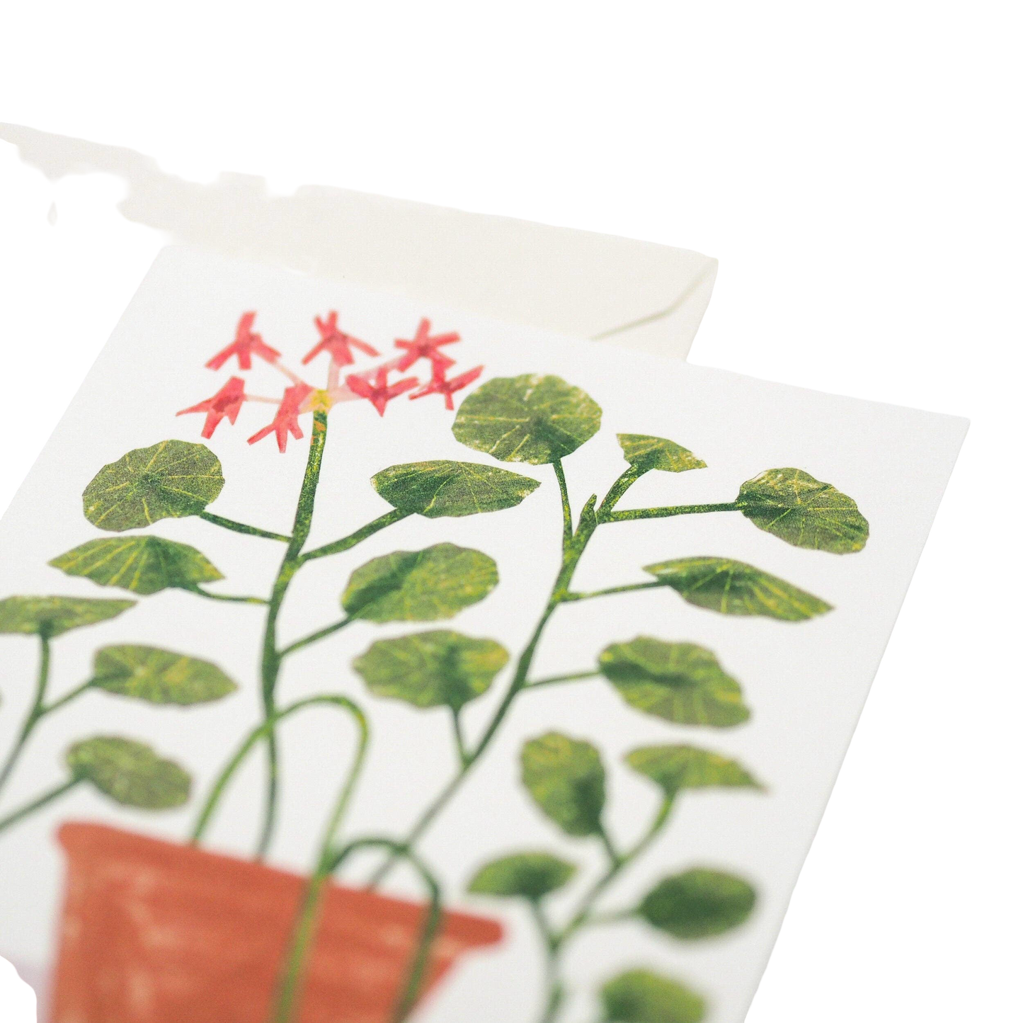 Scented Geranium Card