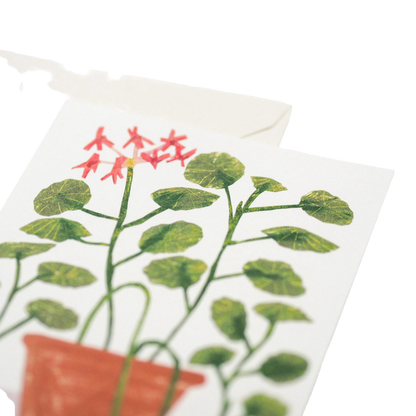 Scented Geranium Card