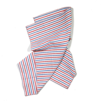 Primary Color Striped Napkins - Set of 4