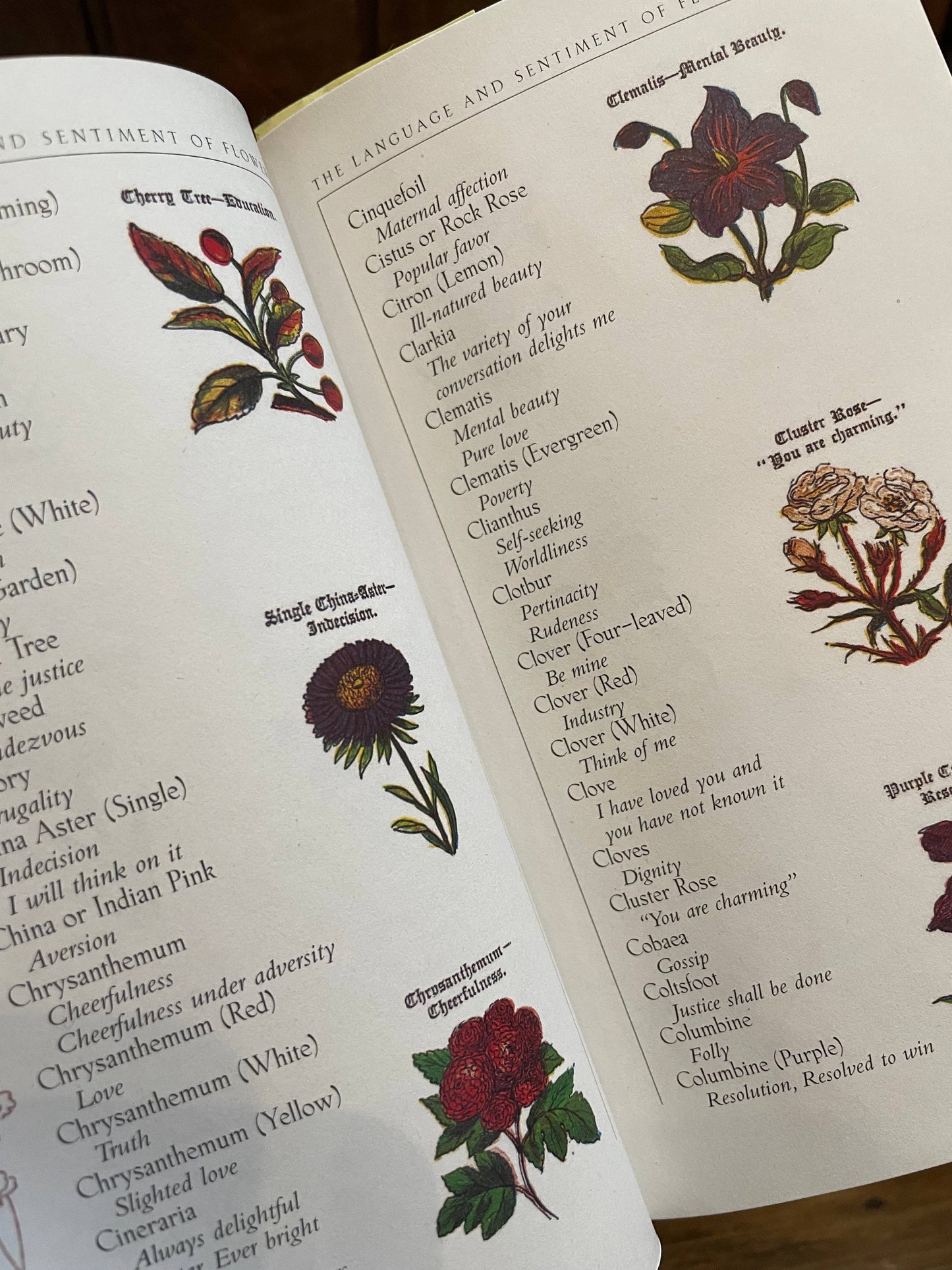 The Language and Sentiment of Flowers