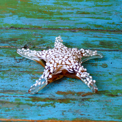 Hand Blown Amber Glass Textured Starfish