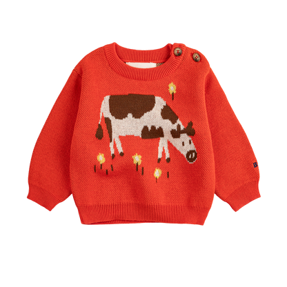 Farm Adventure Baby Jumper