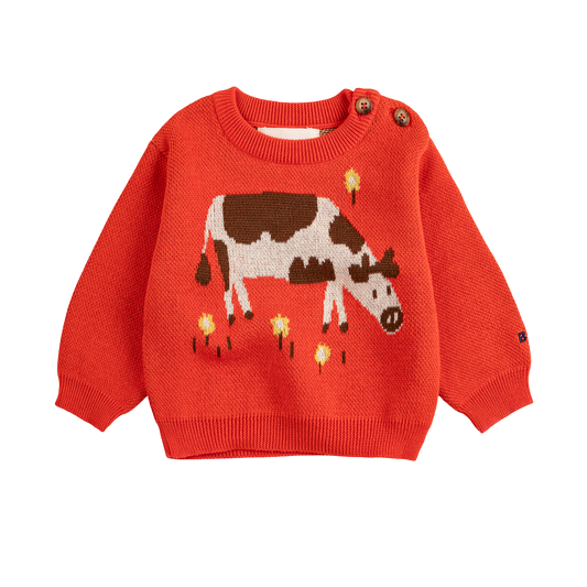Farm Adventure Baby Jumper