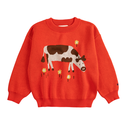 Farm Adventure Jumper