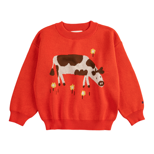 Farm Adventure Jumper