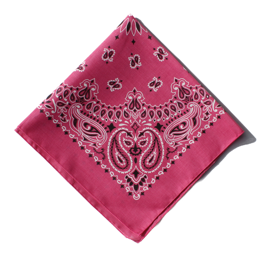 Wild Rag - Fuchsia