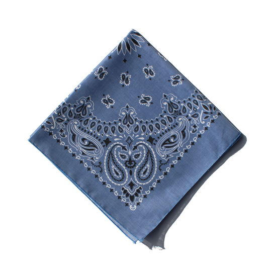 Wild Rag - Chambray Blue