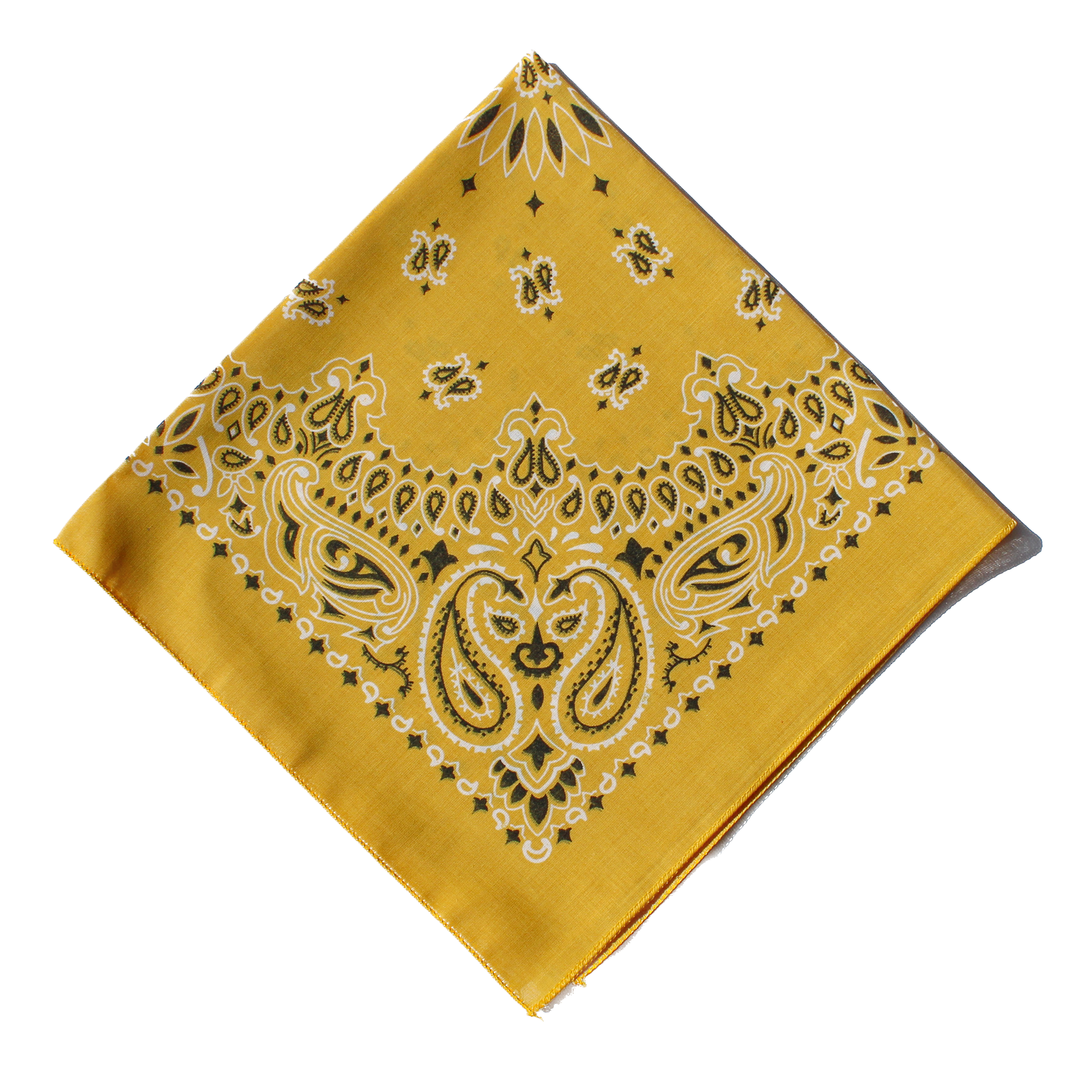 Gold Magazine Rag Wild Rag - Gold – House of Cardoon