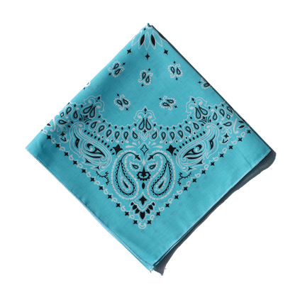 Light Blue Rag Cartoon Wild Rag - Light Blue – House of Cardoon