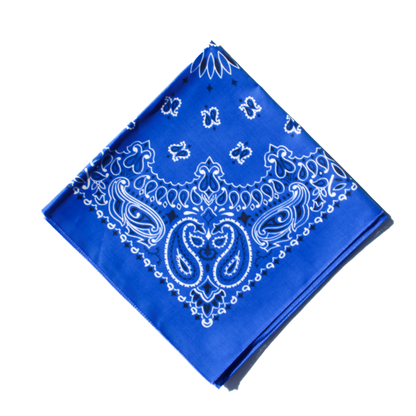 Gd Blue Rag Wild Rag - Royal Blue – House of Cardoon