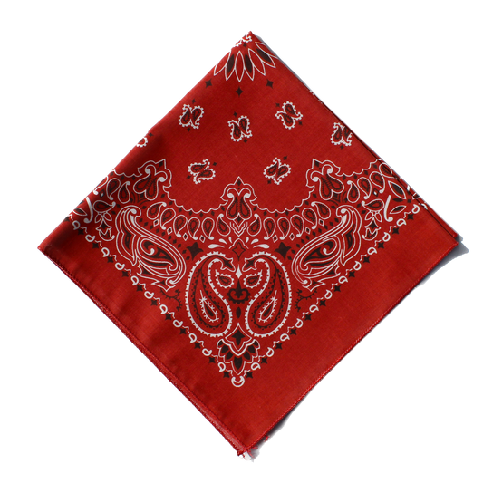 Wild Rag - Terracotta