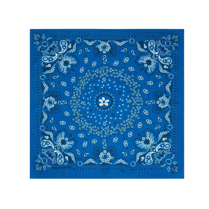 Silk Bandana Wild Rag