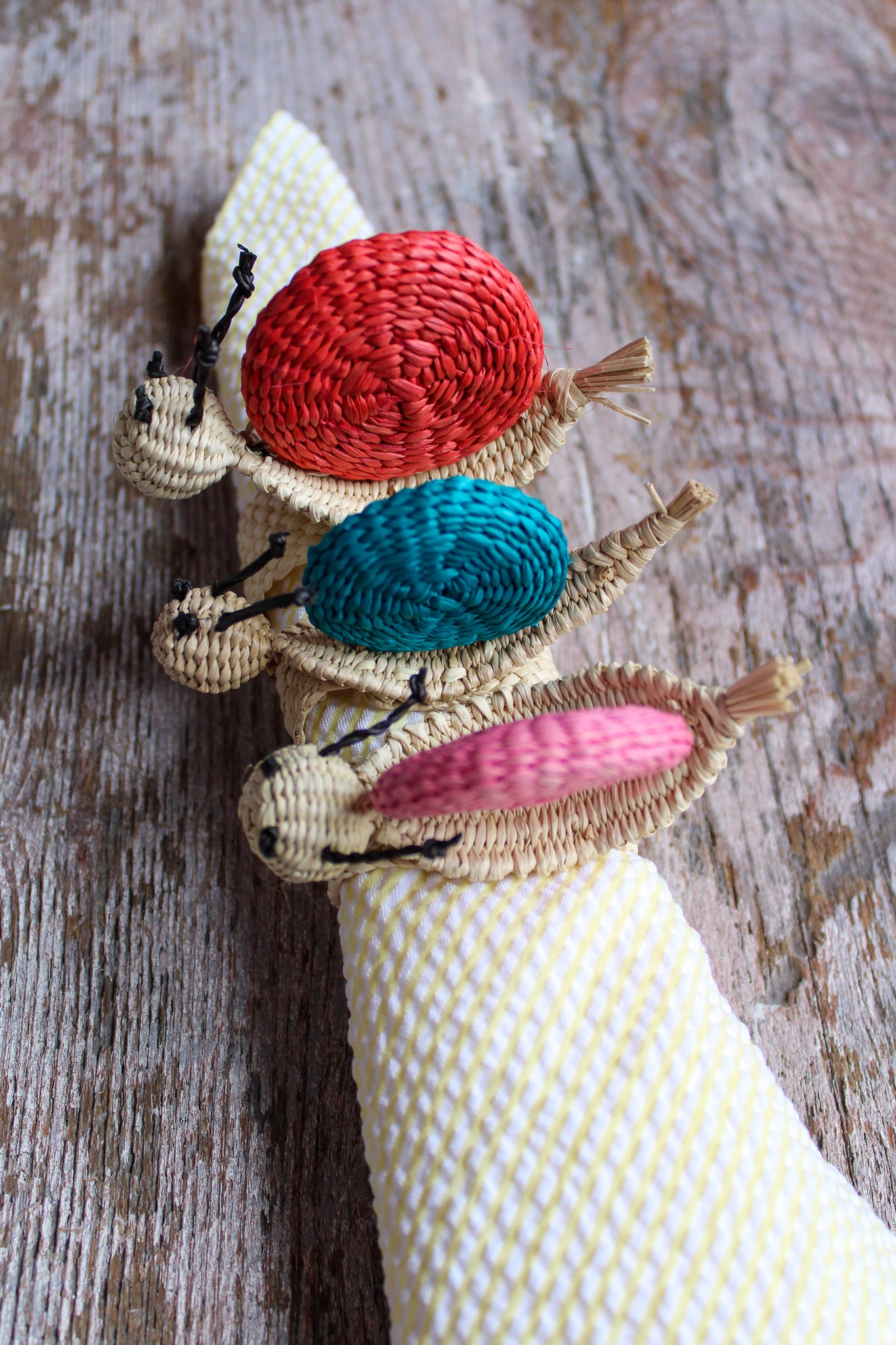 Woven Napkin Ring - Snail