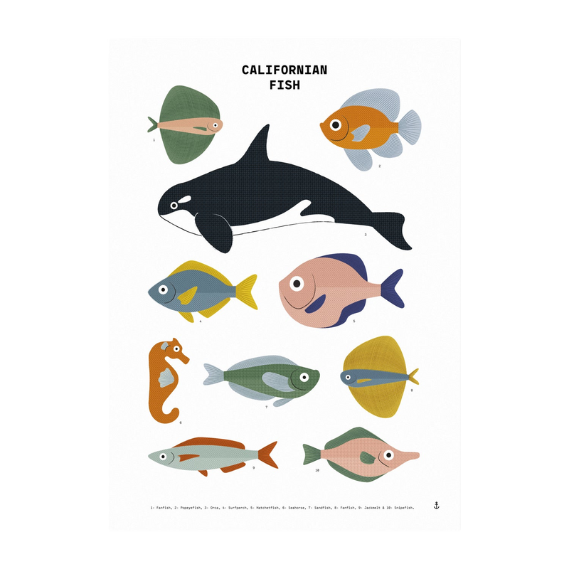 California Fish Print