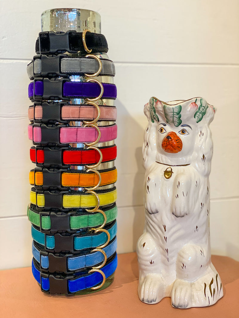 Color reference (small size dog collar is pictured)