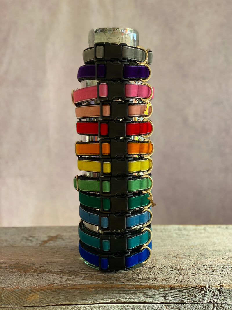 Large Velvet Dog Collar
