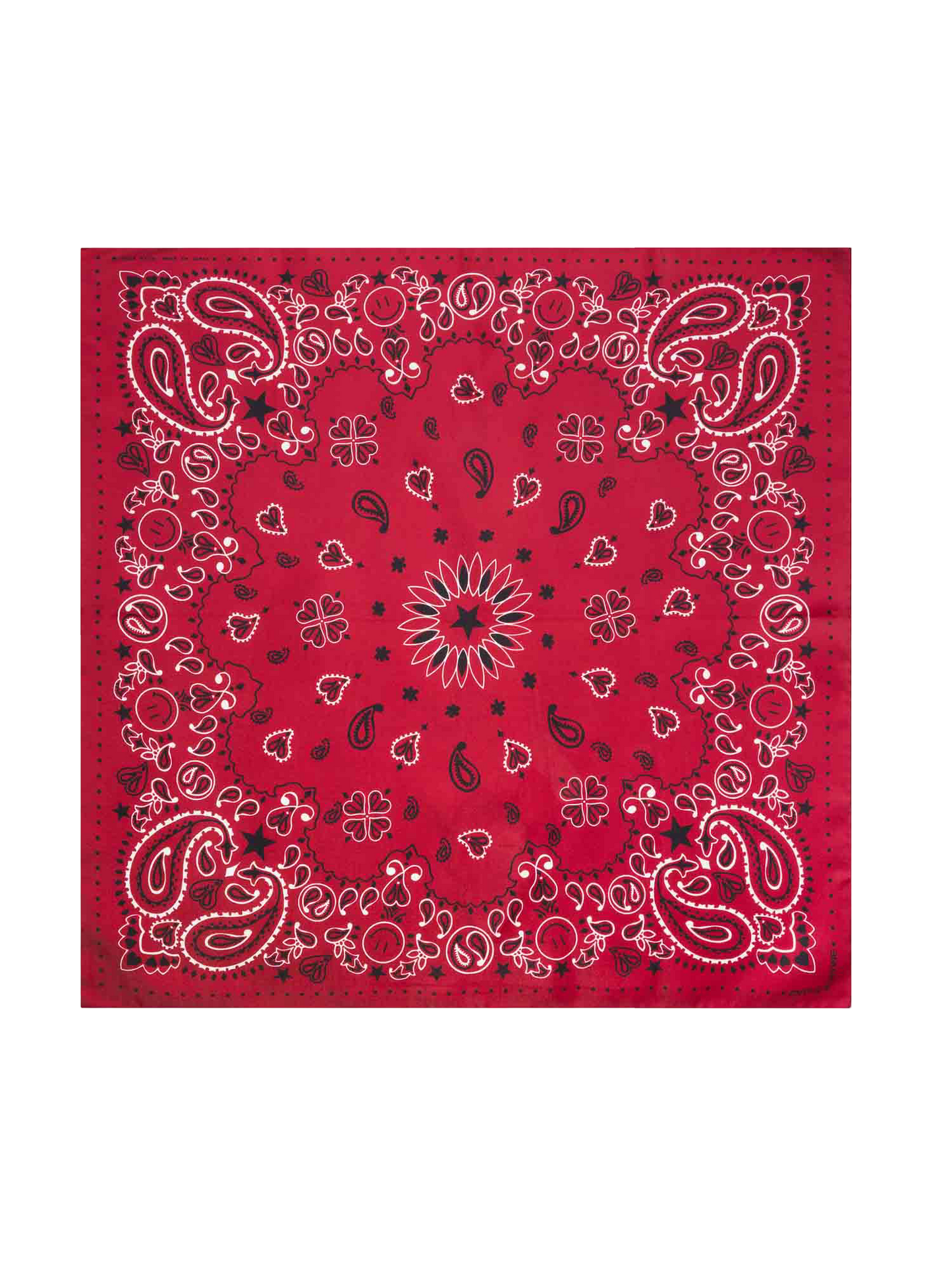 Silk Bandana Wild Rag