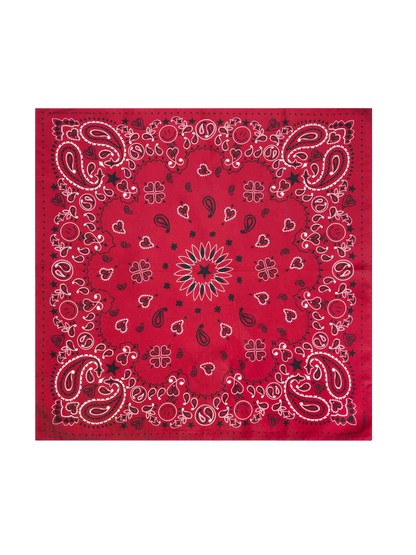 Silk Bandana Wild Rag