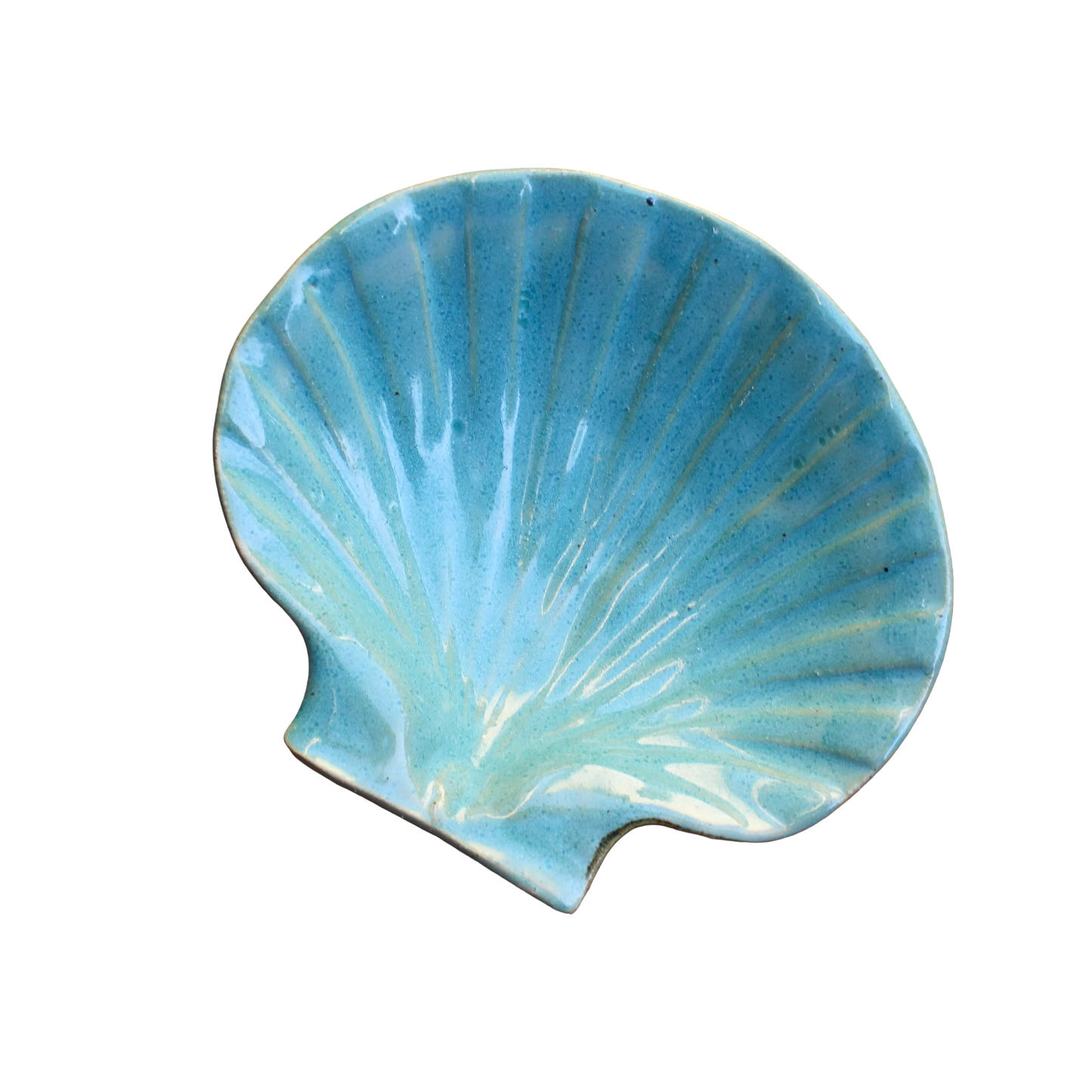 Green Ceramic Shell Dish