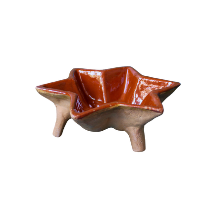 French Terracotta Star Cake Mold