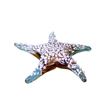 Hand Blown Amber Glass Textured Starfish