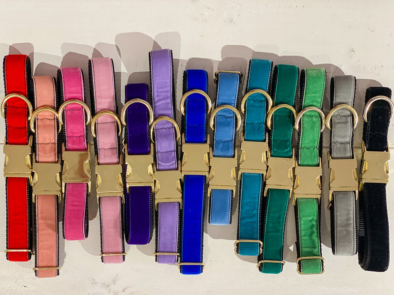 Large Velvet Dog Collar