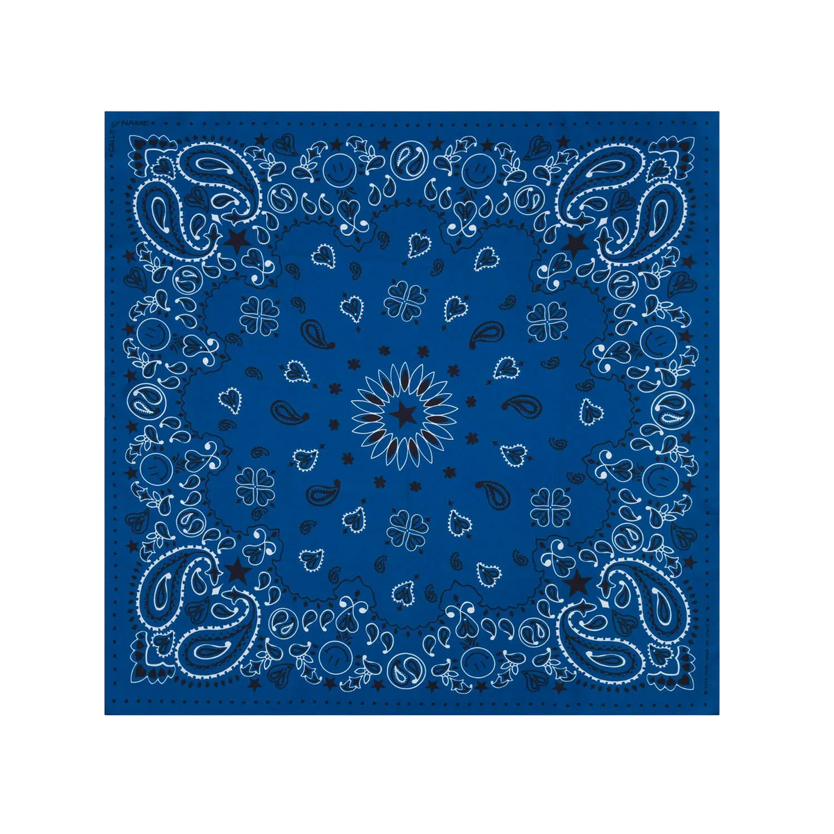 Silk Bandana Wild Rag