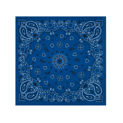 Silk Bandana Wild Rag
