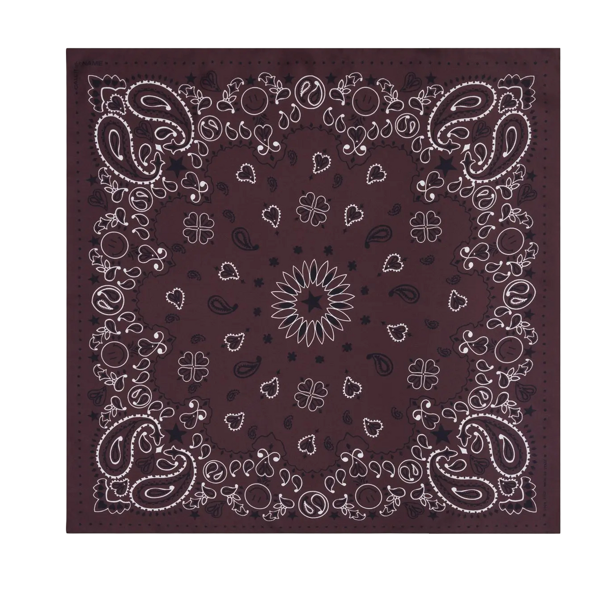 Silk Bandana Wild Rag