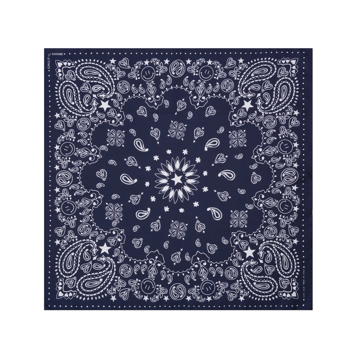 Silk Bandana Wild Rag
