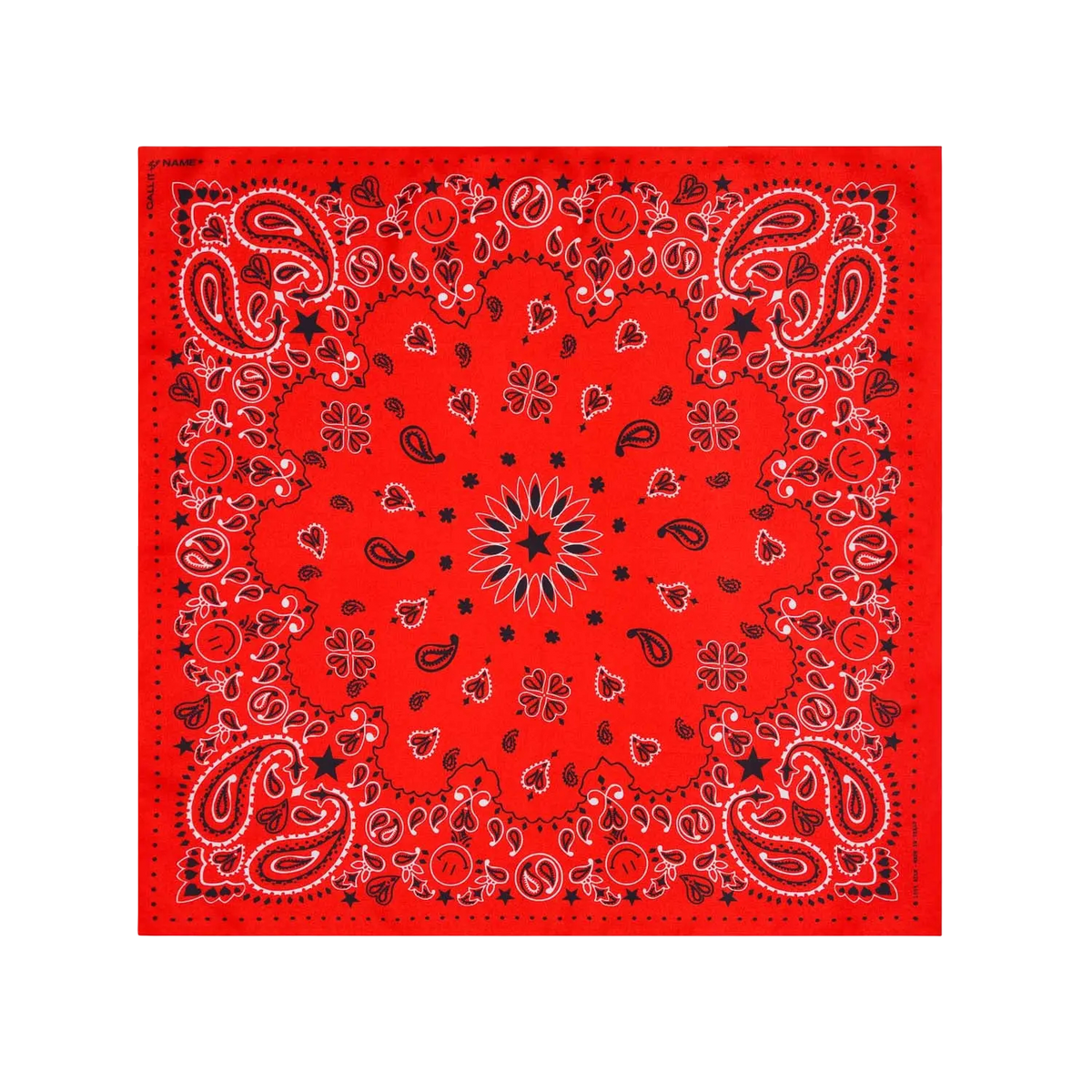 Silk Bandana Wild Rag