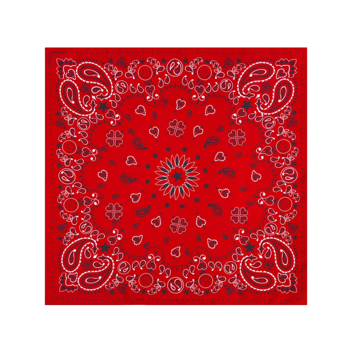 Silk Bandana Wild Rag