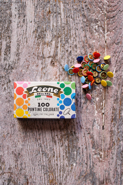 Rainbow Push Pins Set of 100