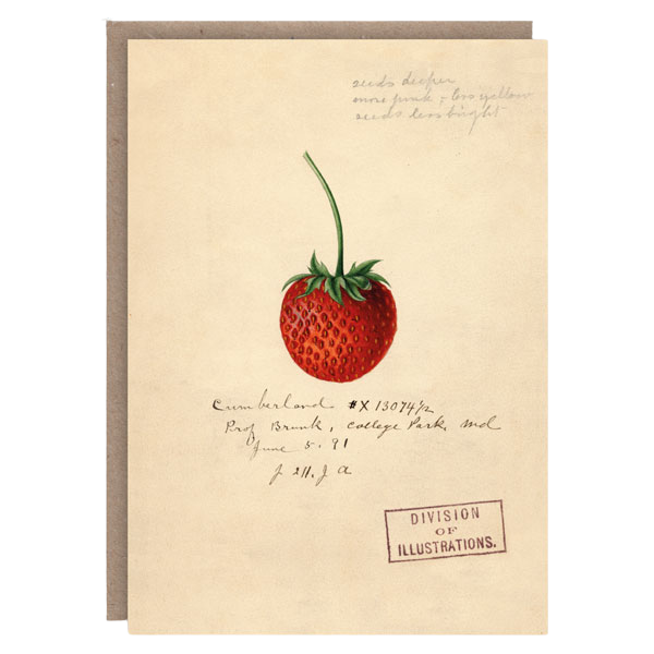 Strawberry Card