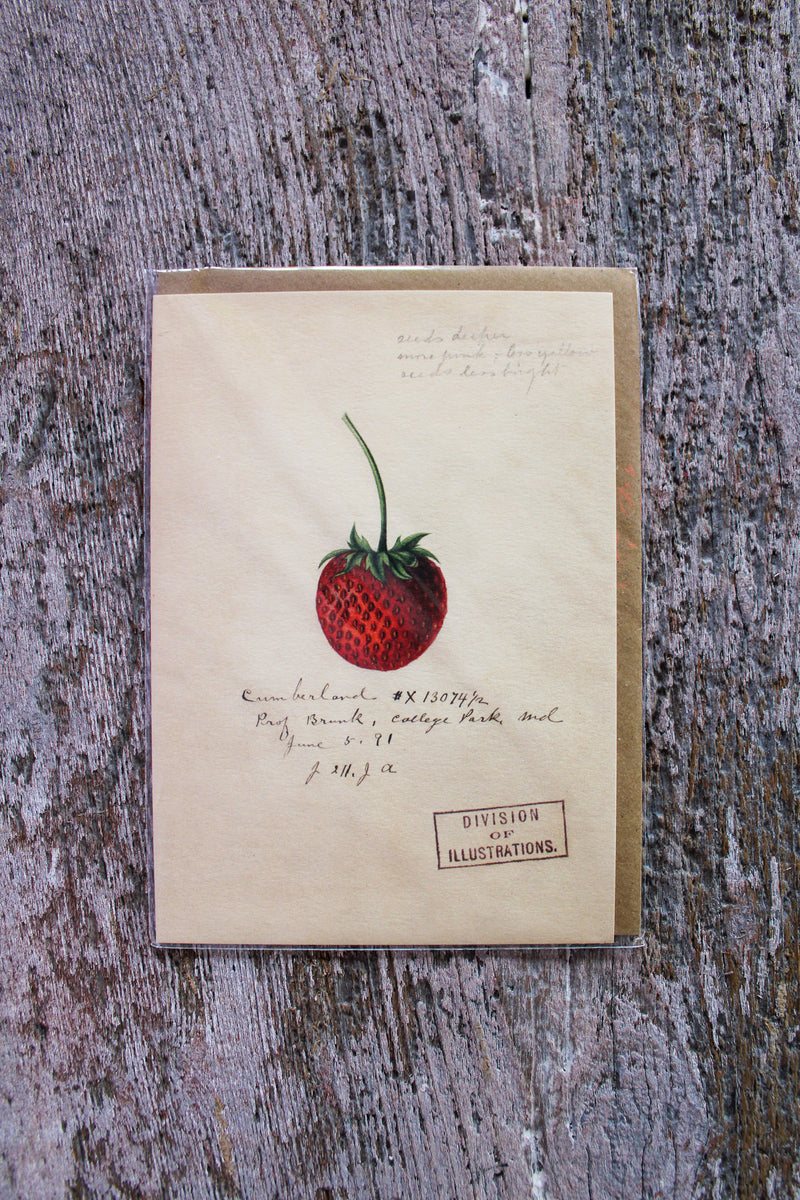 Strawberry Card