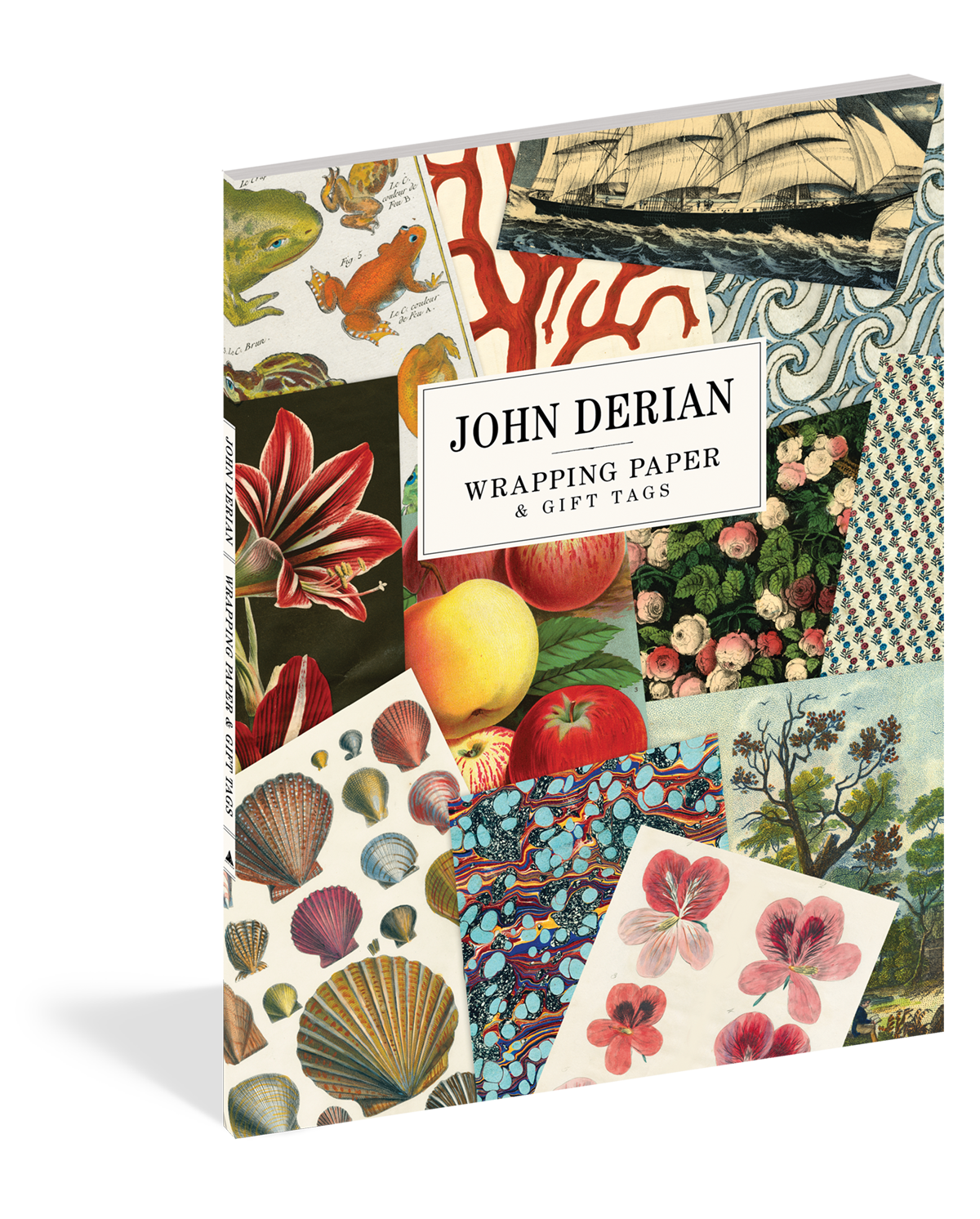 Wrapping Paper & Gift Tags Set