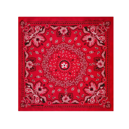 Silk Bandana Wild Rag